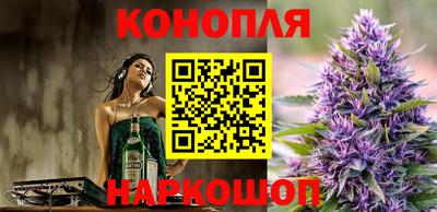 стаф Заводоуковск