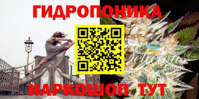 стаф Заводоуковск